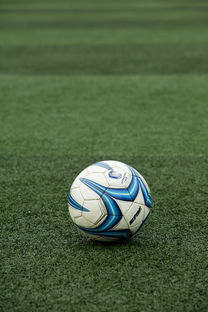 爱游戏体育（AYX）官方APP下载-高校体育赛事应急管理体系构建，体育赛事应急预案细则